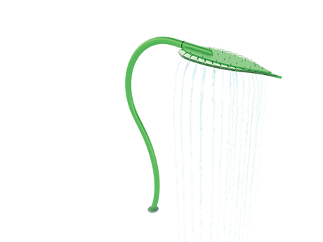 Water-leaf 